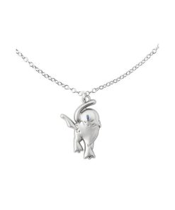 Pokemon Center Collar Absol TeraCool Japon
